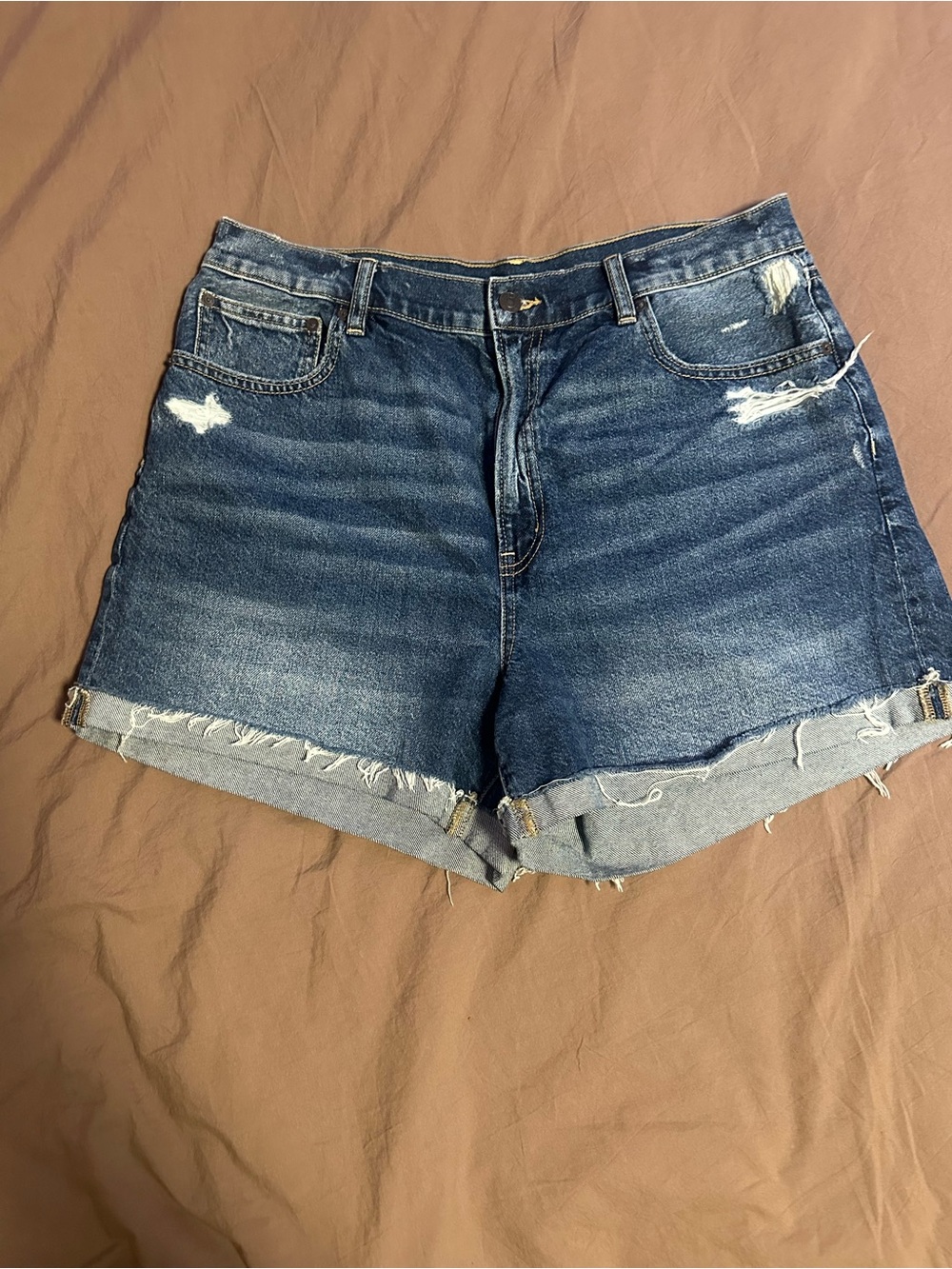 American Eagle Outfitters Distressed Dark Blue Denim Shorts